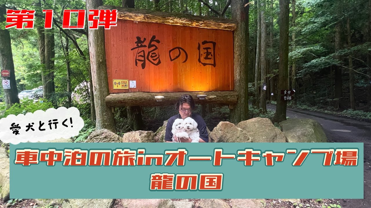 【車中泊】愛犬2匹と行く！キャンプ初心者がキャンプ場で車中泊！【キャンプ】