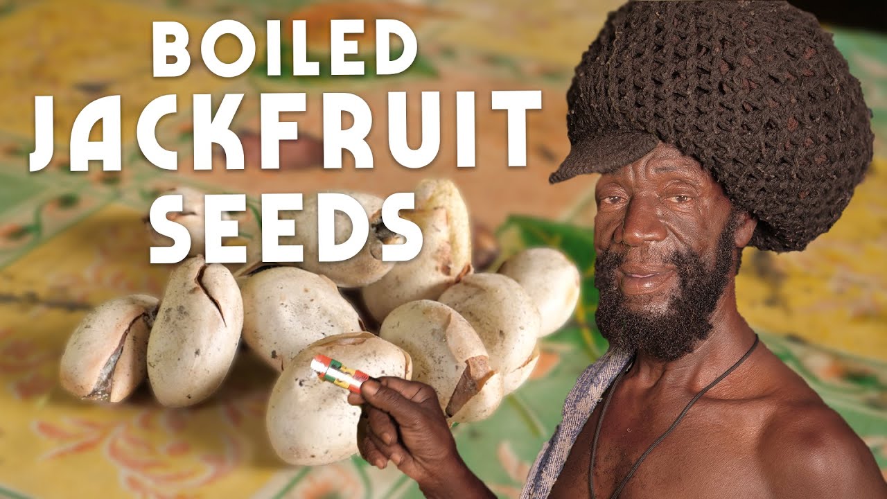 Boiled Jackfruit Seeds! (and some Cheese Banana)