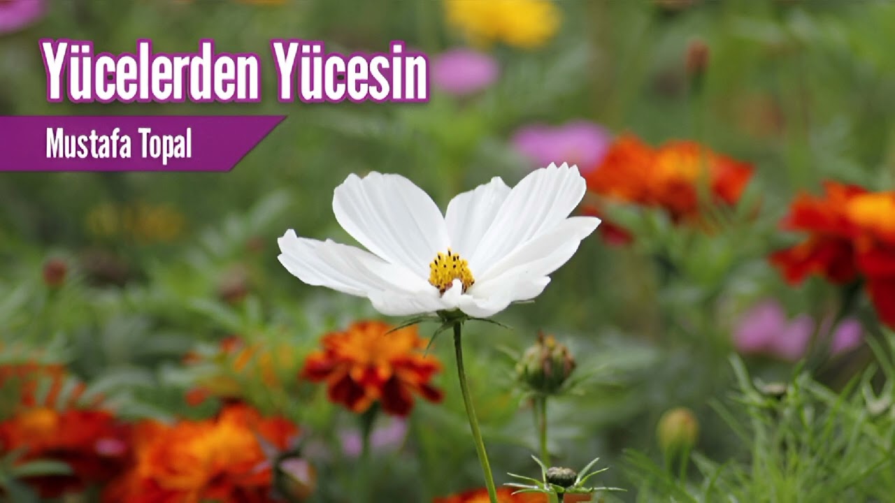 Yücelerden Yücesin -Mustafa Topal