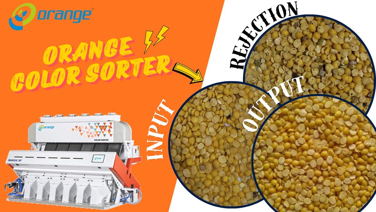 Dal Holes Sorting Machine | Remove Insect-Damaged Dal with High Accuracy