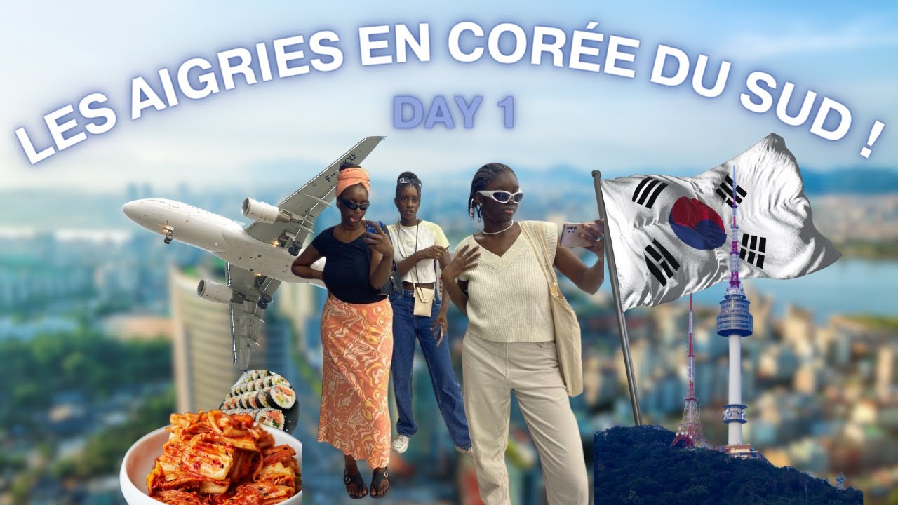 VLOG ( OU PAS ) : Les aigries en Corée du Sud !!!!
