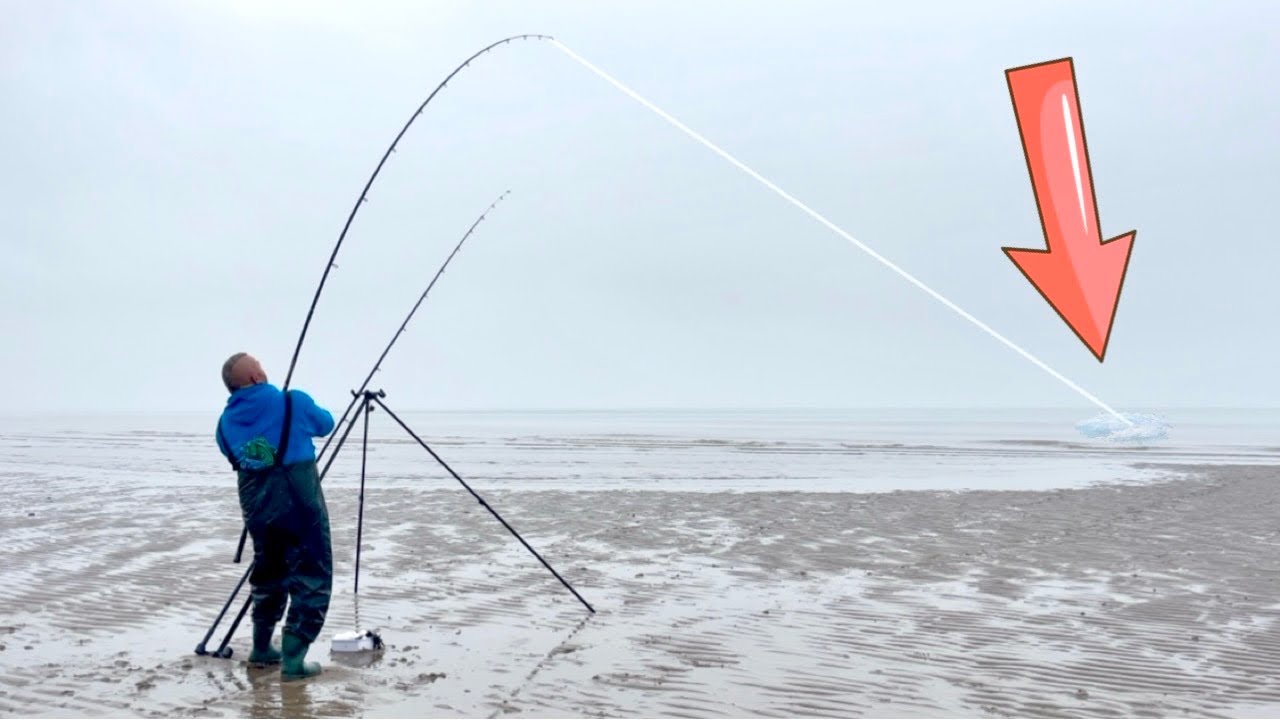 This STUNNING BEACH Delivers The FISH
