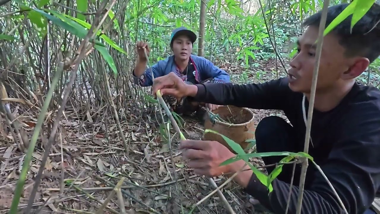 ຫາໜໍ່ໄມ້ໄລ່ນ້ຳໝອກ | หาหน่อไม้ไร่น้ำหมอก