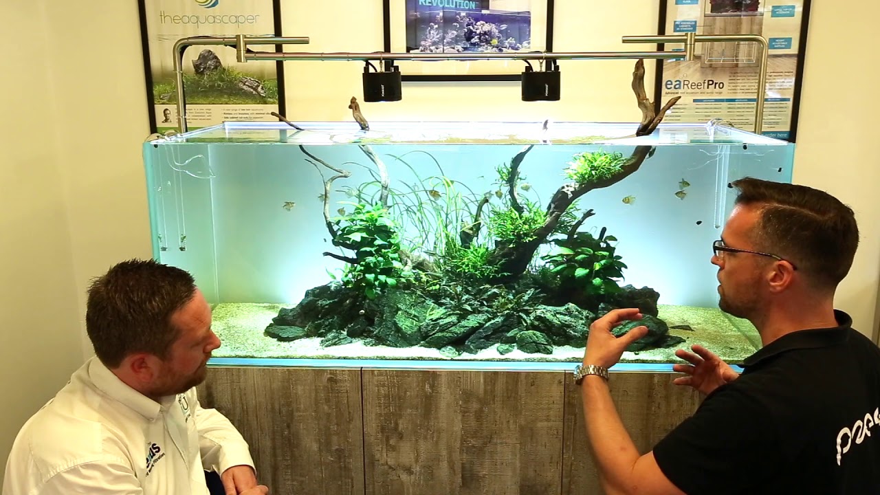 George & Jeremy discuss - Long-term Aquascaper 1500 Nature Aquarium!