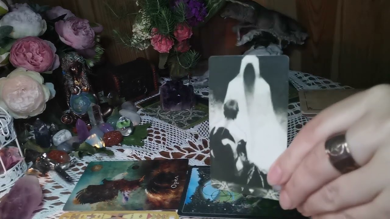 🔥💯КАКАЯ ТЫ ВЕДЬМА🔮🕸️