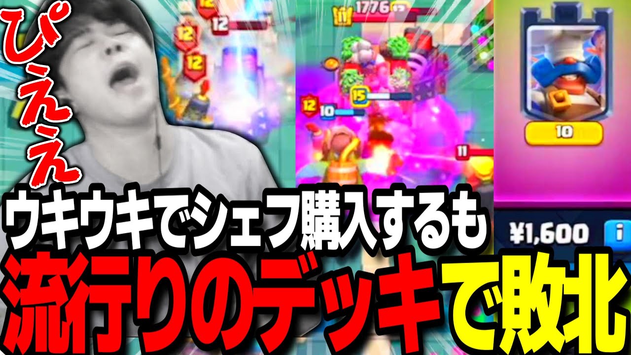 【クラロワ】シェフがセールに来たから6500で暴れてやるわwwwww【スキンヘッ道2025 26日目】