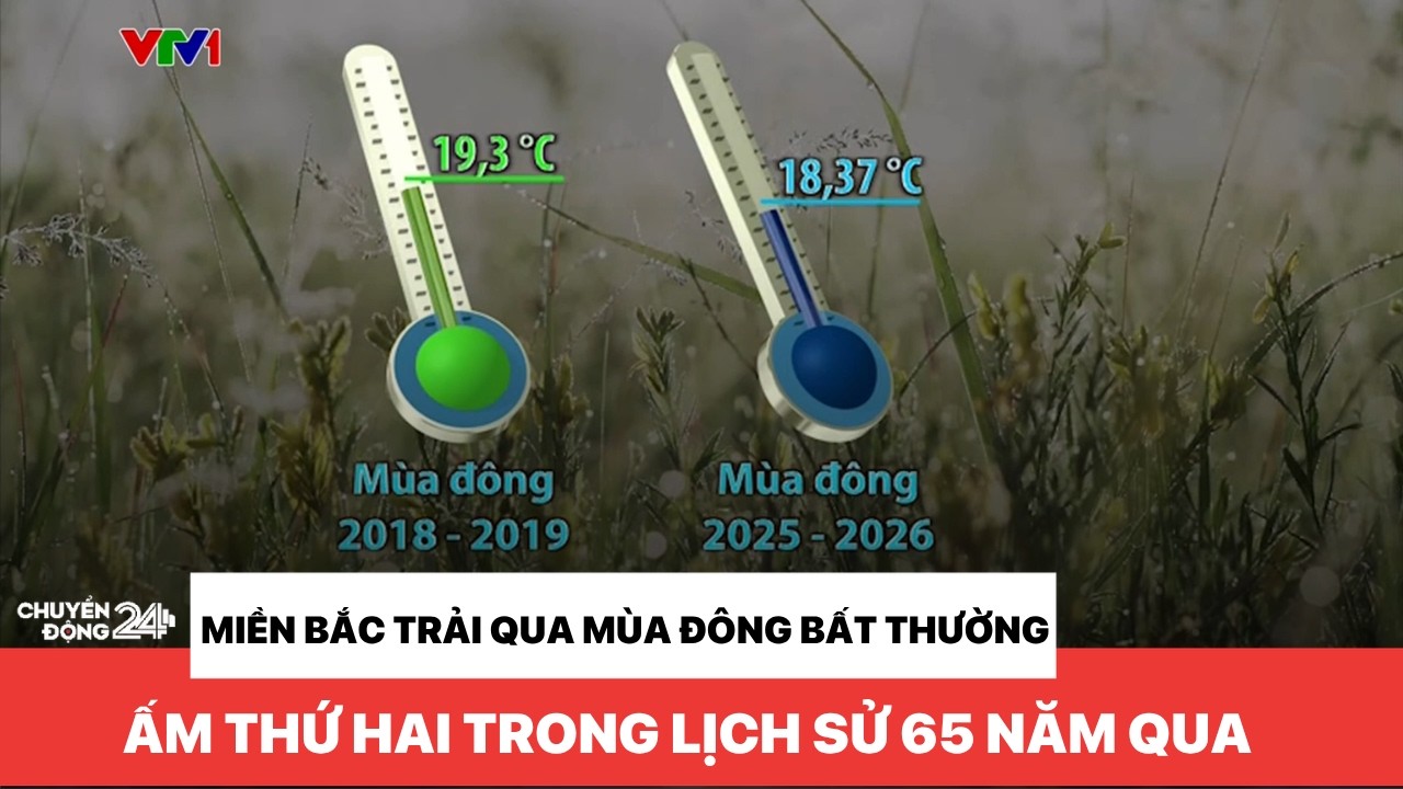 Miền Bắc trải qua mùa đông bất thường, ấm thứ hai trong lịch sử 65 năm qua