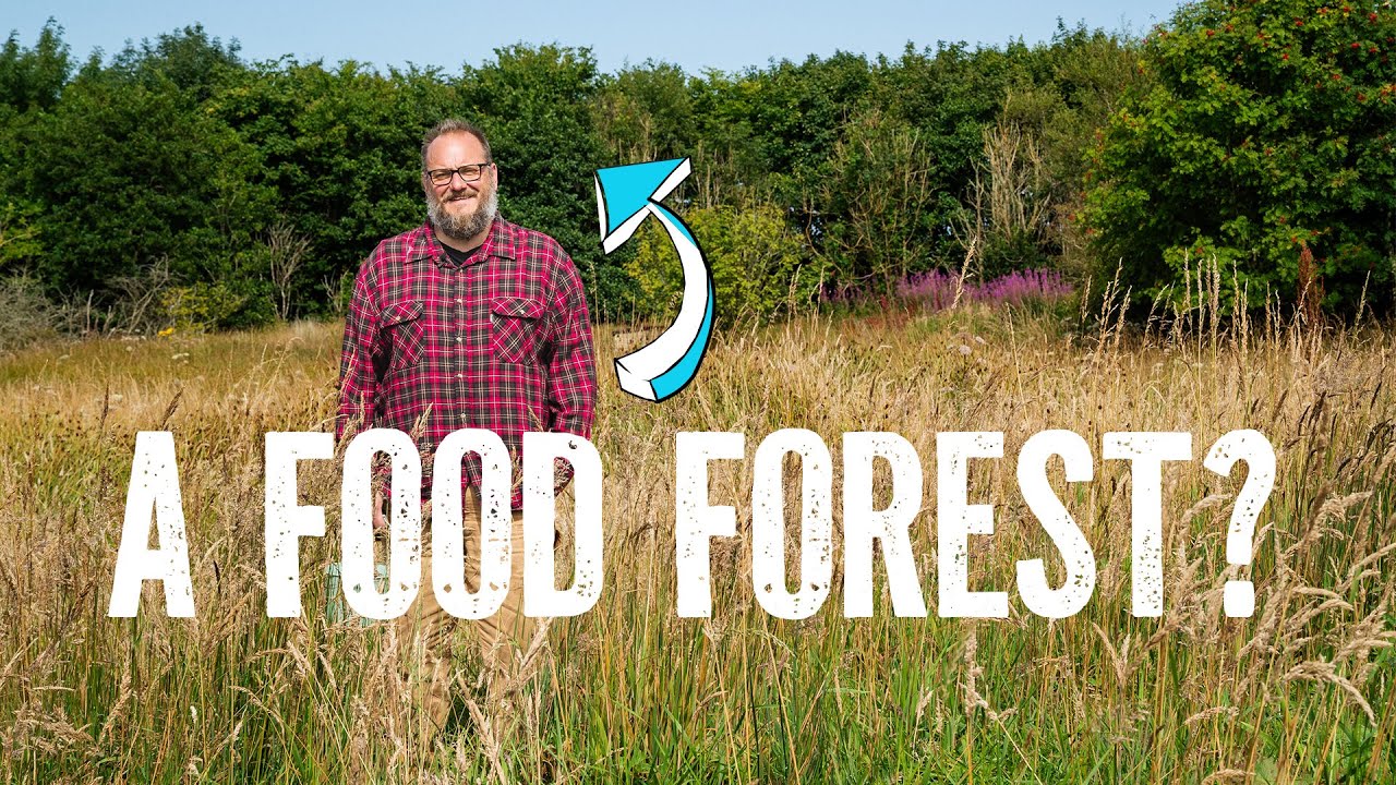 Free Food Everywhere: Our First Year Foraging on an Abandoned Farm