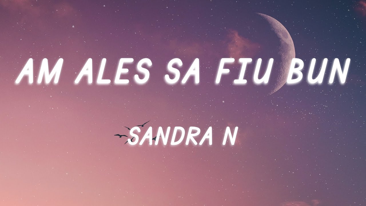 Sandra N - Am ales sa fiu bun (Versuri / Lyrics)