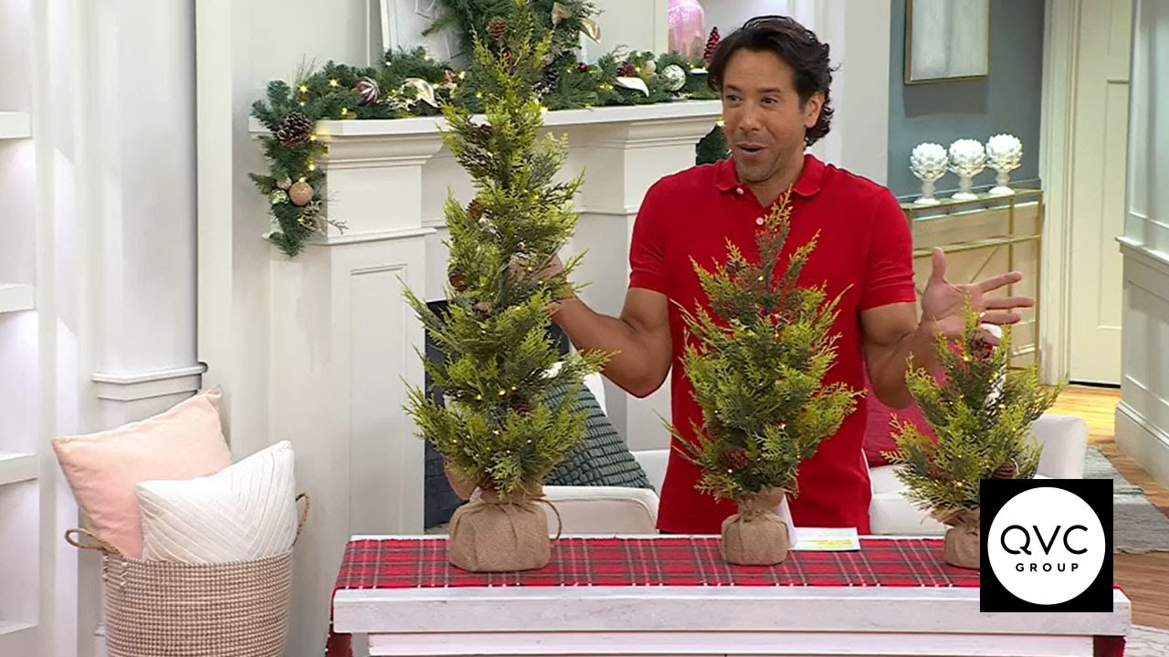 Home Reflections Set of 3 LED Decorative Trees | QVC