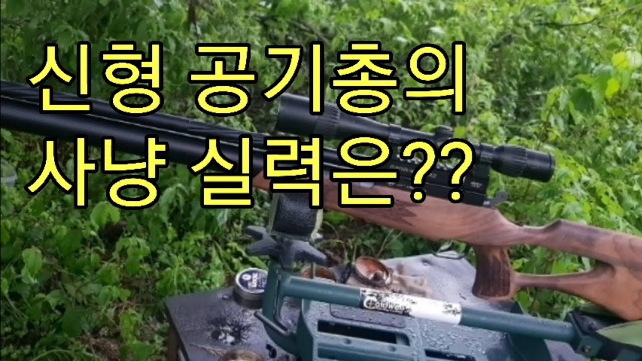 어떤 총도 부럽지 않아요-AR22(1편)