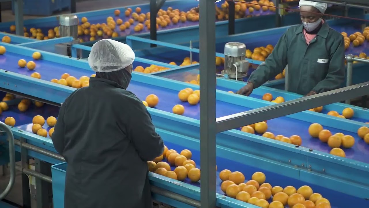Citrus Packhouses 8: Quality Management
