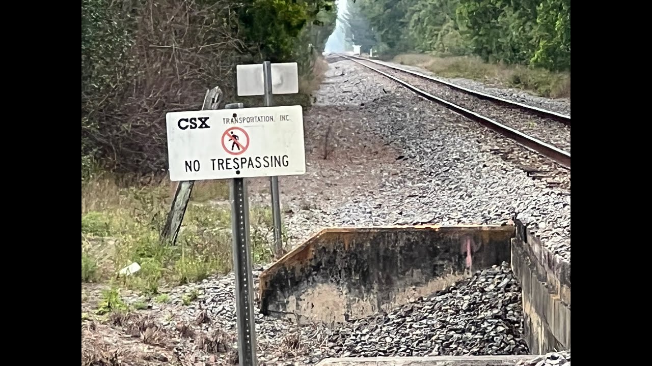 Amtrak Silver Meteor Long Approach With No Commentary