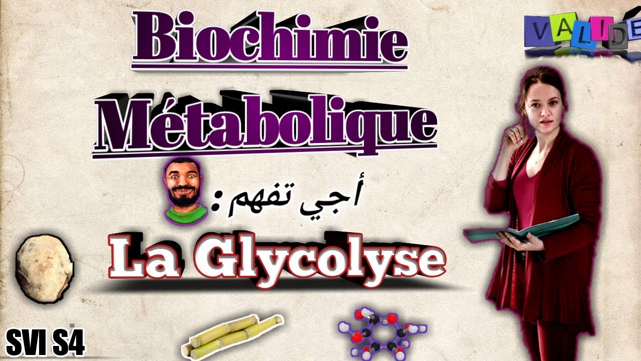 Biochimie m&eacute;tabolique, partie des glucides, la glycolyse SVI S4, en arabe.