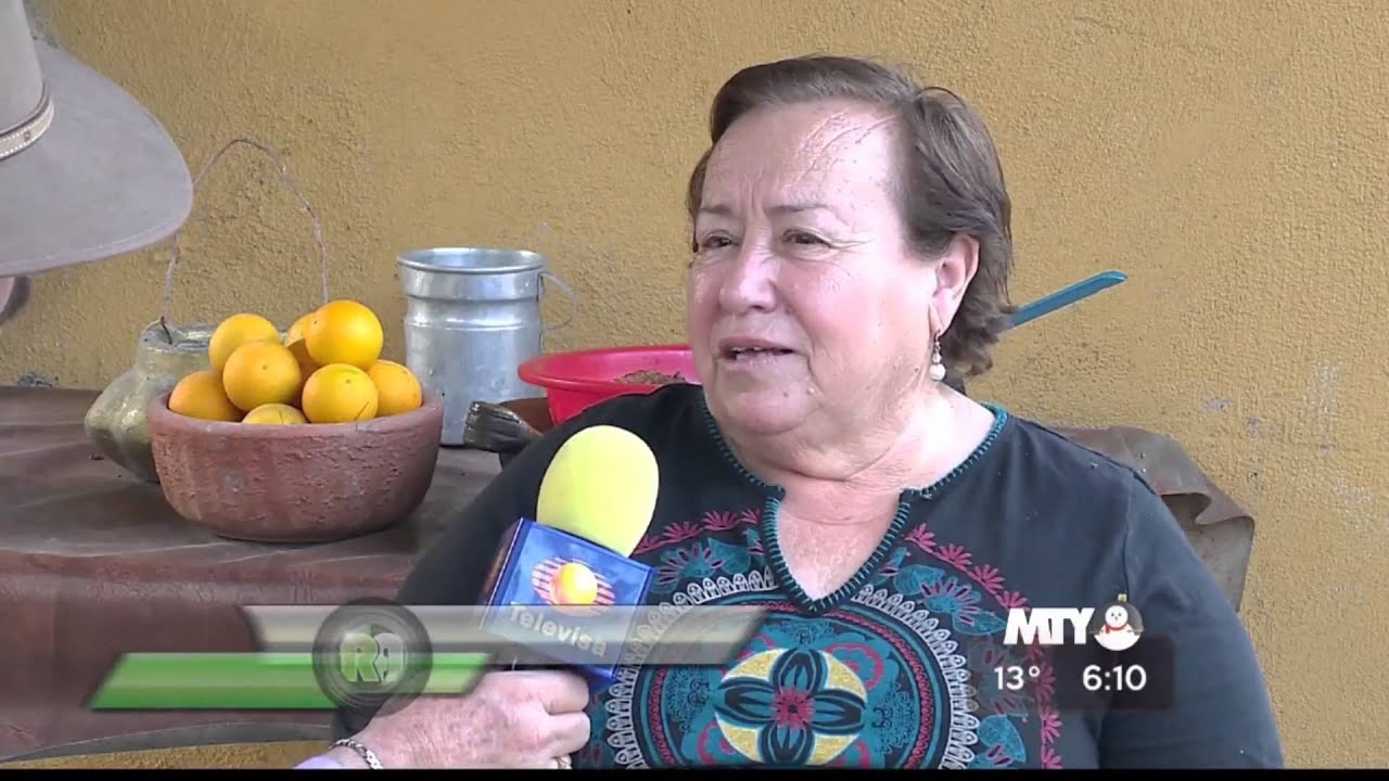 REPORTAJES DE ALVARADO   GRAL  TREVI&Ntilde;O N L  01