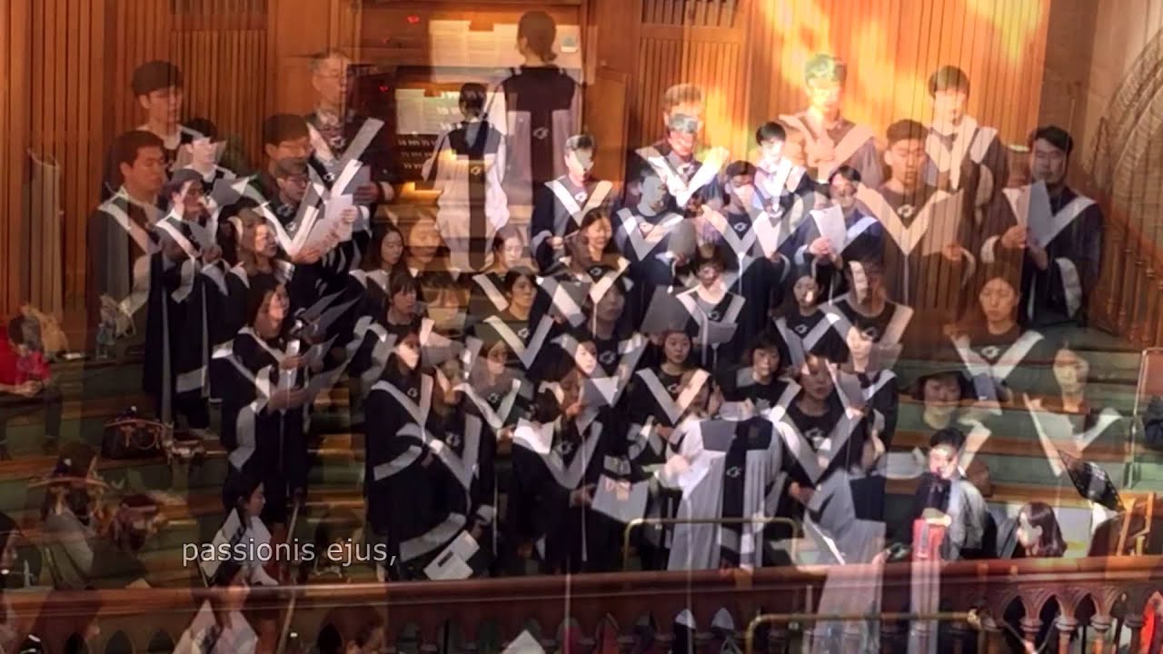 [가톨릭합창단] O Sacrum Convivium - R.Remondi,  명동성당