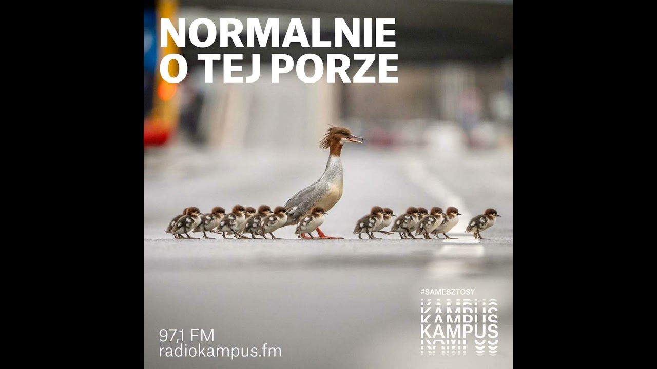 Od fotografii przyrodniczej do festiwali techno. Aleksander Jura i jego prace