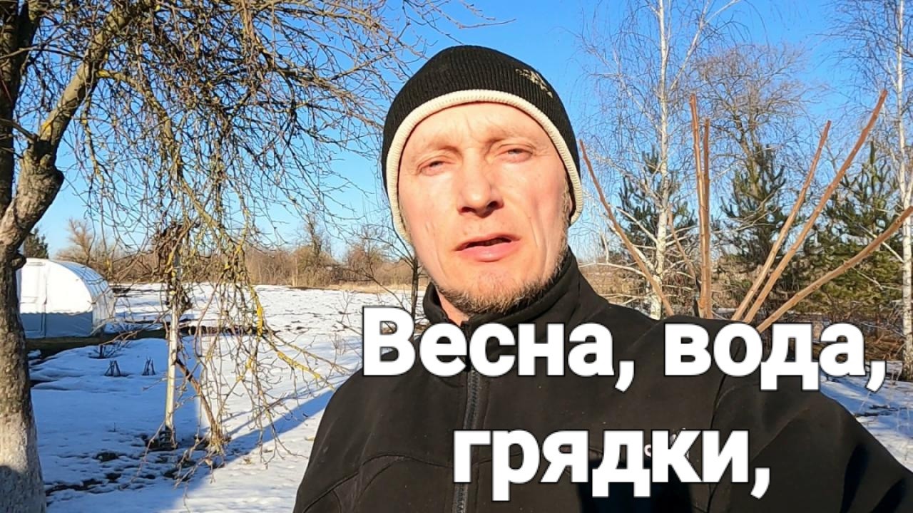 Весна 2026 видалась така. Точим сік. Поглядаємо на воду на грядках.