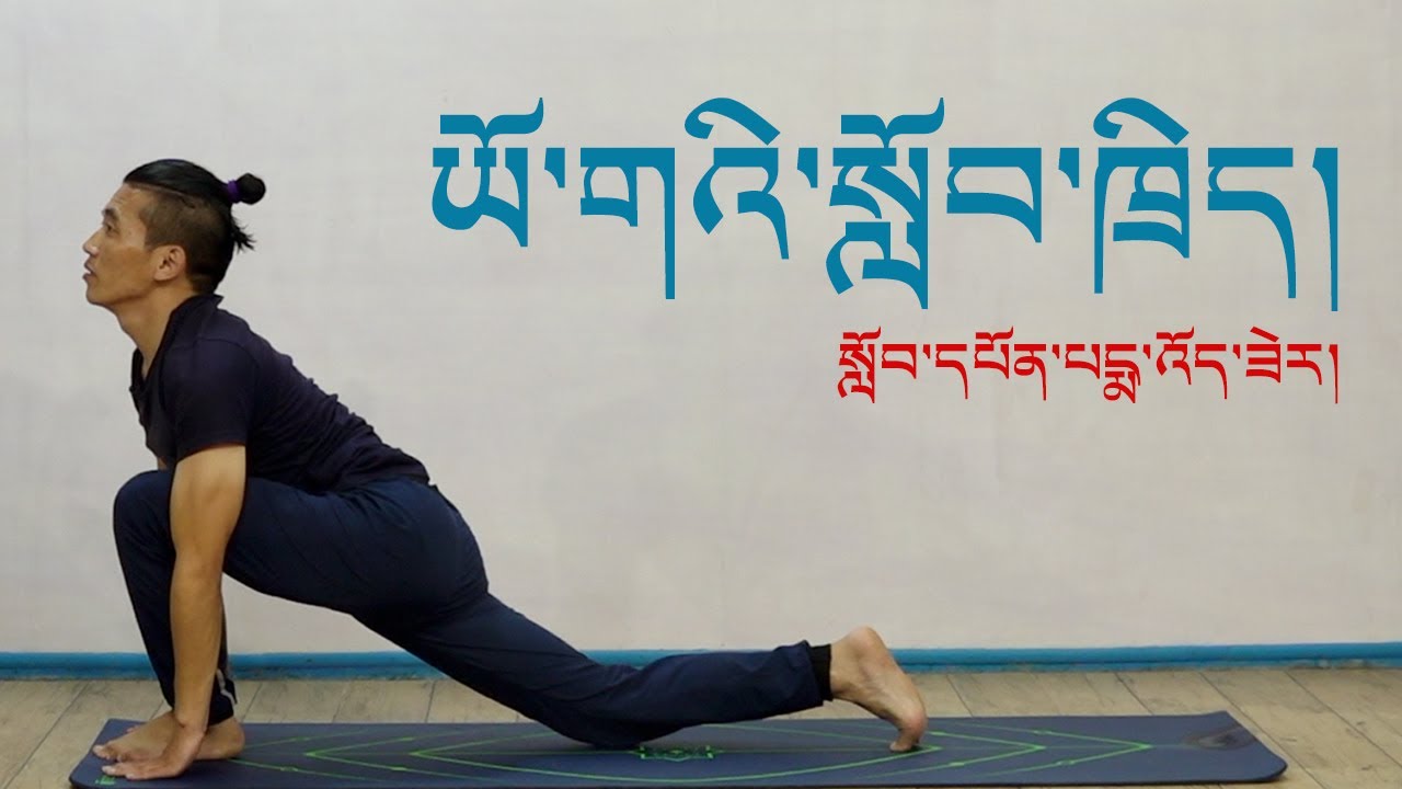 ཡོ་གའི་སློབ་ཁྲིད། སློབ་དཔོན་པདྨ་འོད་ཟེར།| Yoga Lesson by Pema Woeser