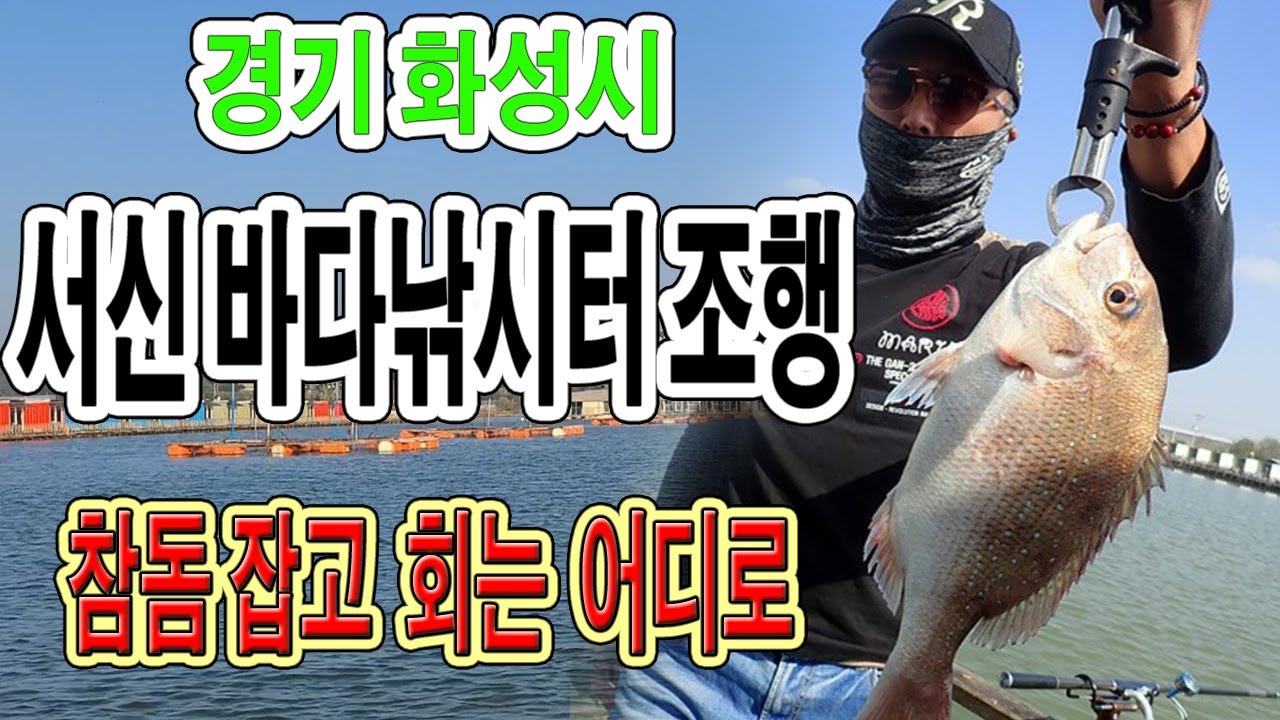 서신바다낚시터 조행기/미끼제한 없는 바다낚시터,제부도 근처,낚시터특징 .혼자 다니는 낚시여행 낚시삼촌