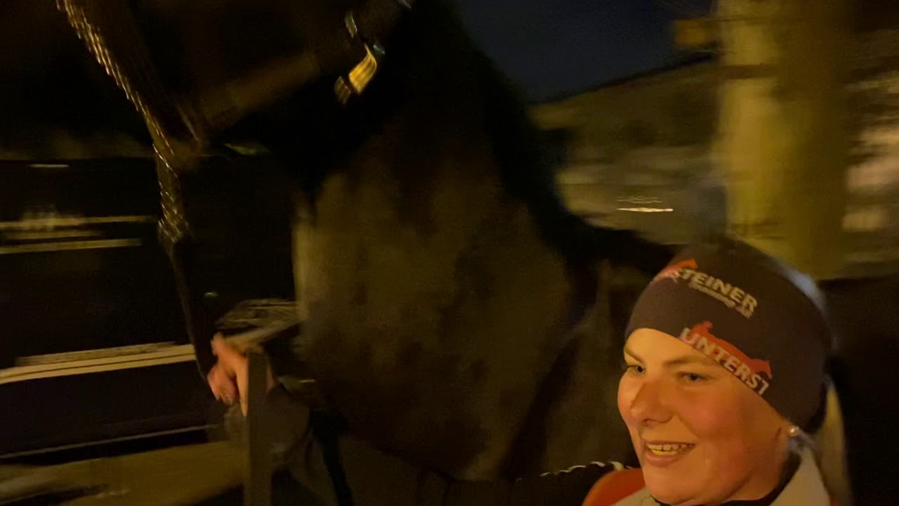 Pflegerin von Toto Barosso - Josephine - Peter Untersteiner - Breeders Crown 2020 Berlin-Mariendorf