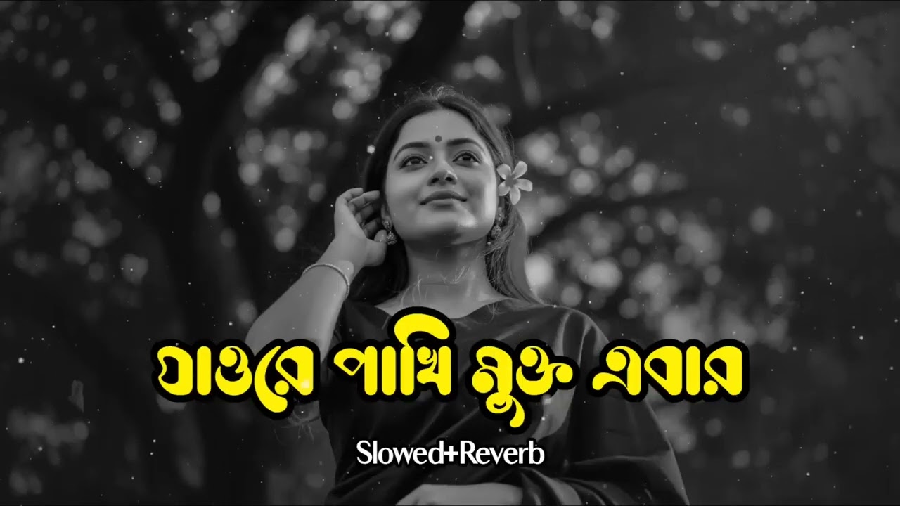 Jaw Re Pakhi Mukto Ebar | যাওরে পাখি মুক্ত এবার | Sathi Khan | Hanif Khan | FHK Music 