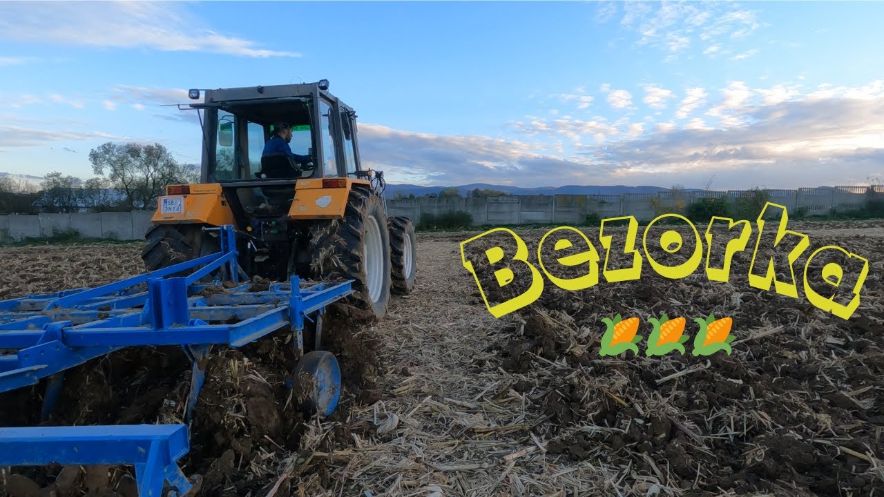 Uprawa bezorkowa po kukurydzy na ziarno 🌽