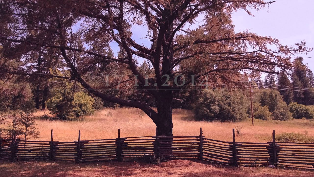 Joris Voorn - The Wild