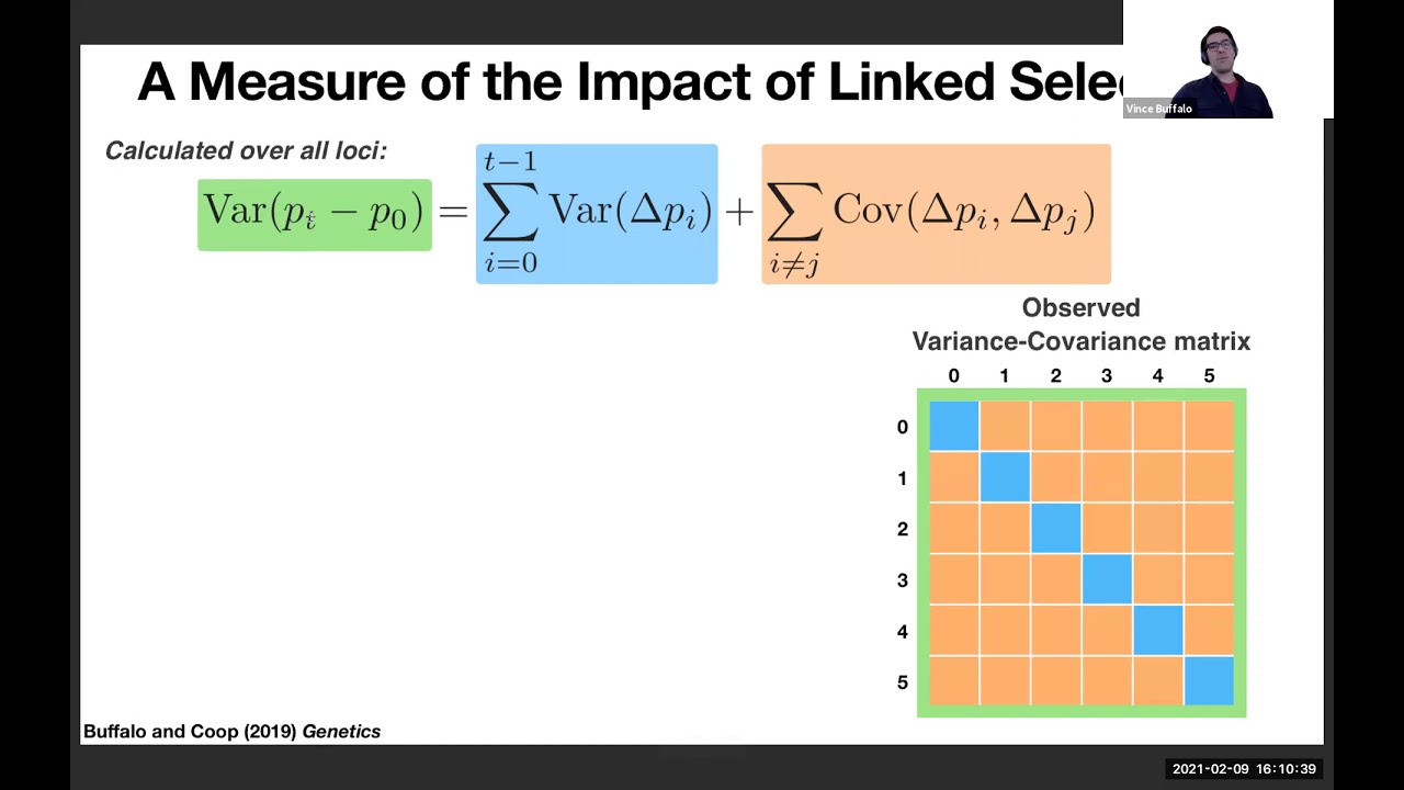 Vince Buffalo: Understanding the Effects of Linked Selection