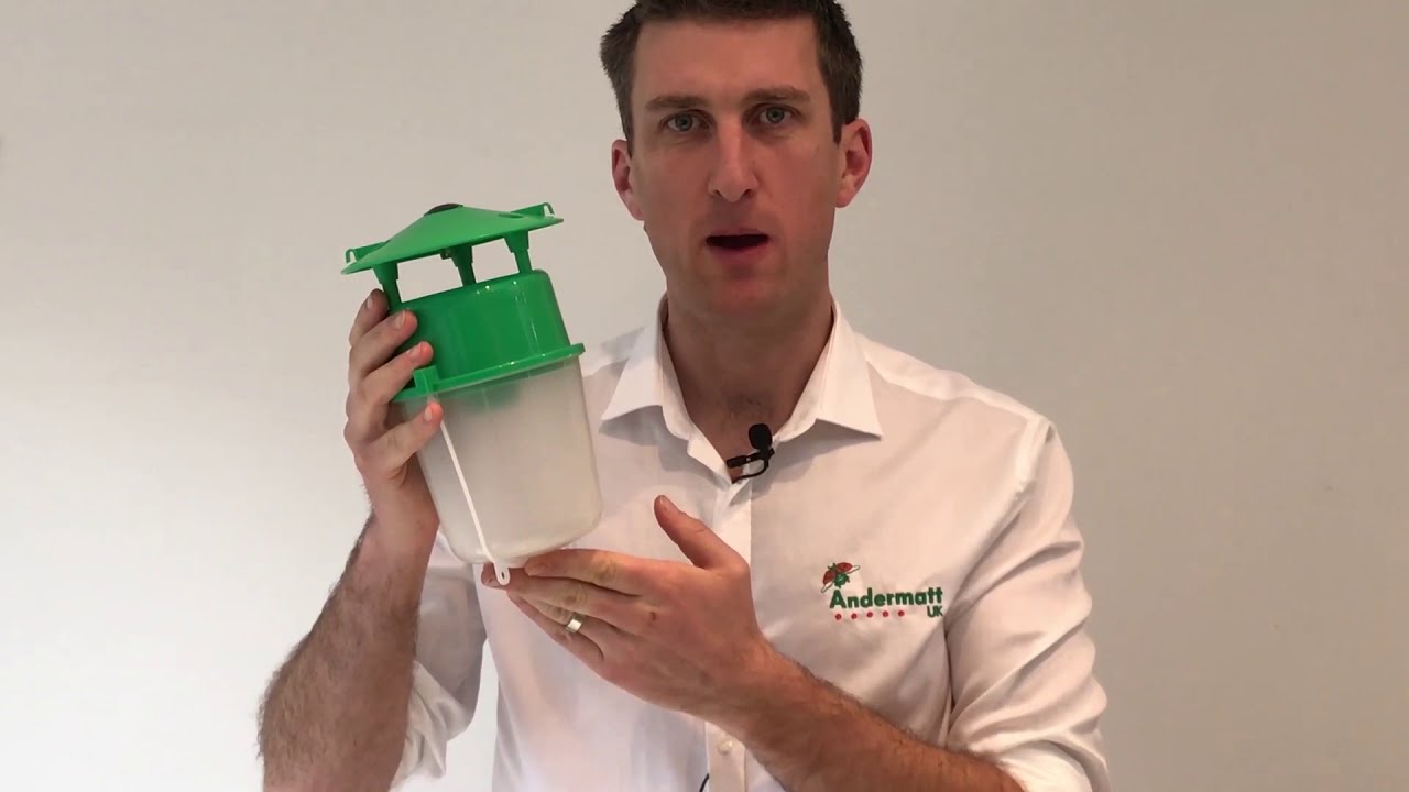 Box Tree Moth Trap Instructions - How to Use against box caterpillar (cydalima perspectalis)
