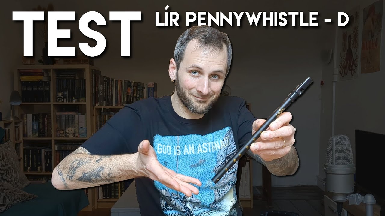 TEST Lir pennywhistle D