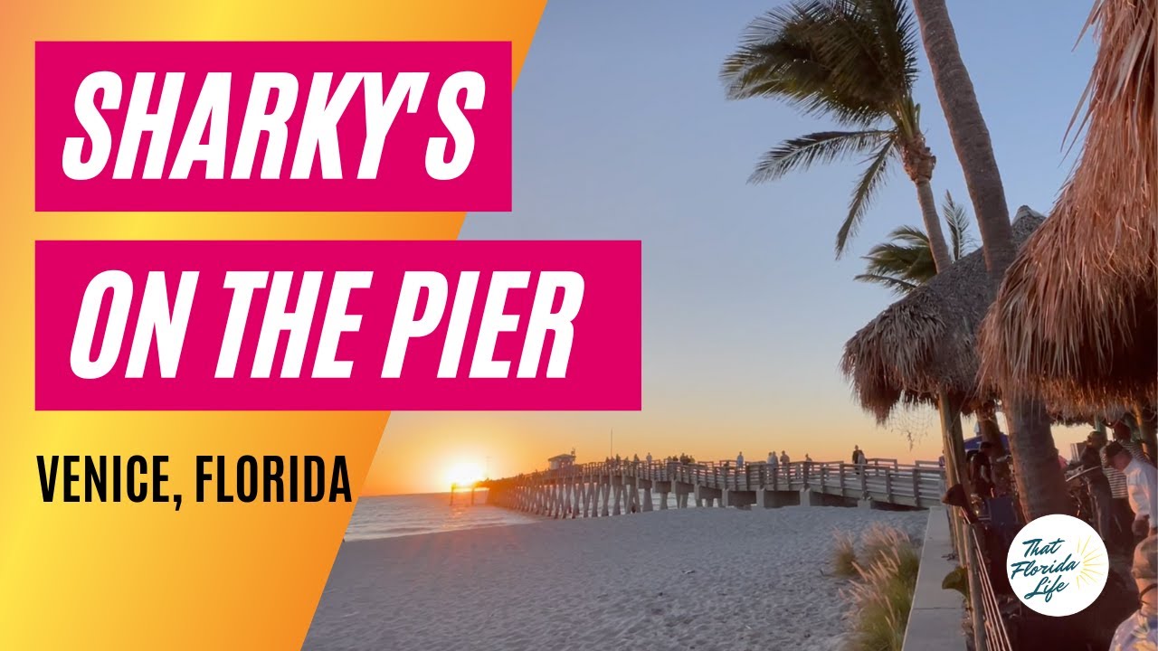 FAMOUS Sharky's on the Pier - Venice, Florida