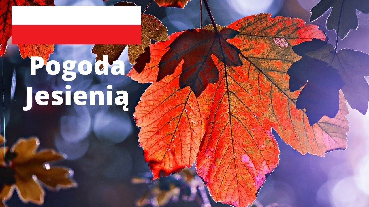Pogoda jesienią