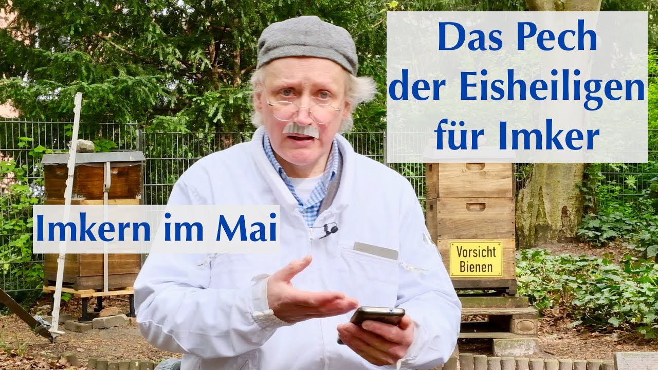 Die Eisheiligen - 3 Nachteile f&uuml;r Biene und Bienenhalter - Imkern im Mai (3a)