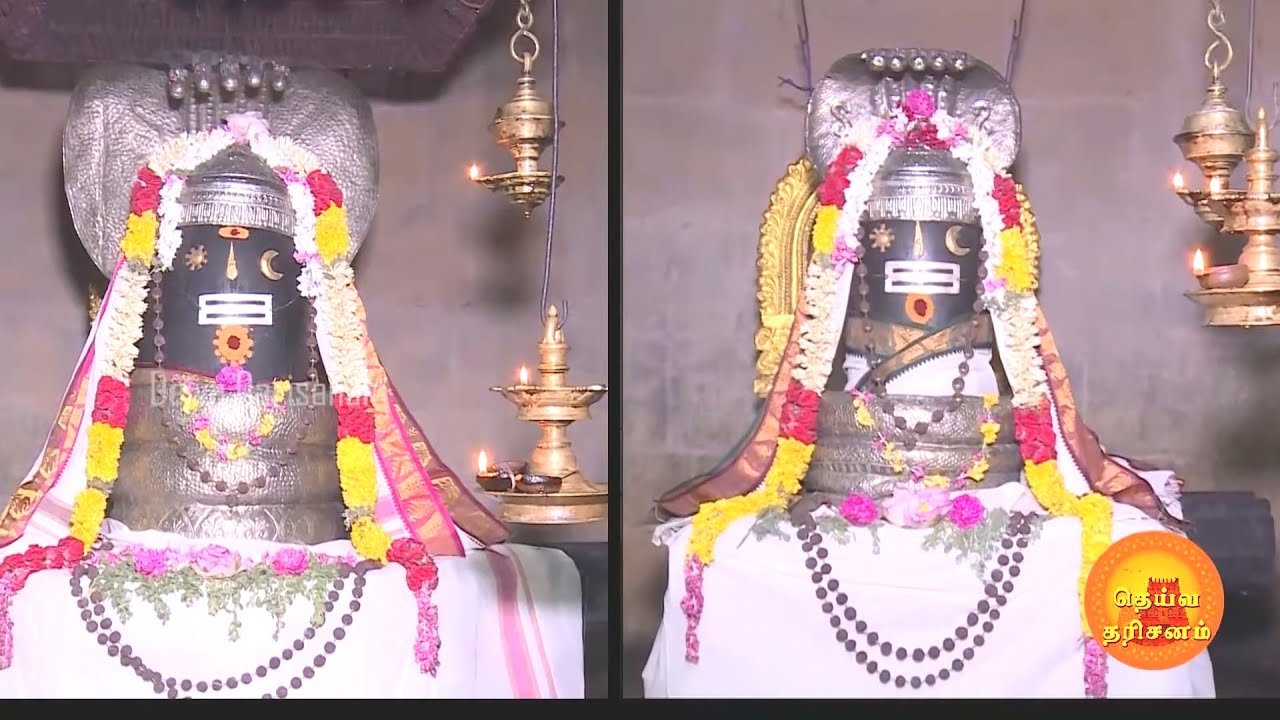 இரண்டு மூலவர்கள் கொண்ட அற்புத திருப்பனங்காடு திருத்தலம் | Thirupanangadu Thalapureeswarar Temple