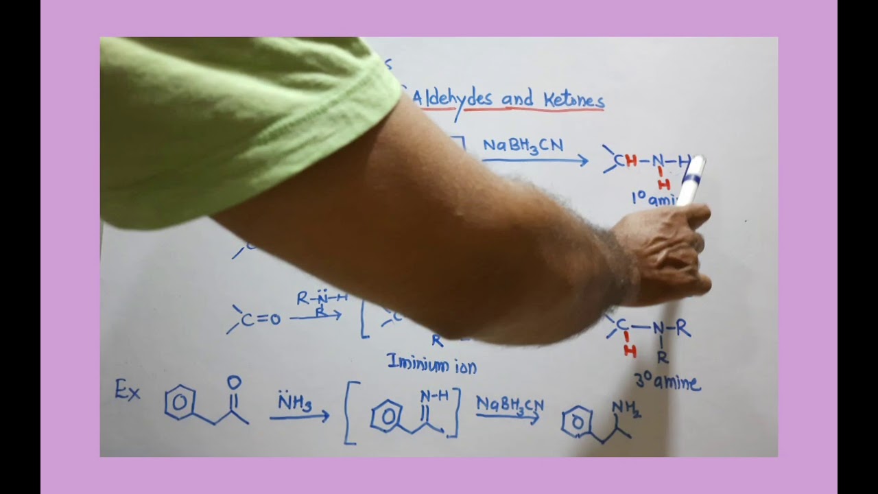 Preparation of amines by reductive amination of aldehydes and Ketones