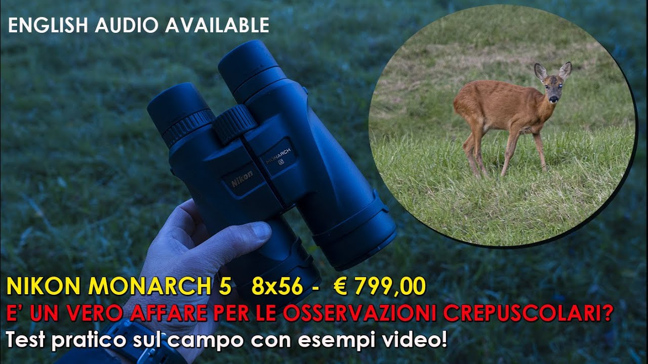 Binocolo Nikon Monarch 5 8x56 - 799 euro. E' un vero affare per le osservazioni crepuscolari?