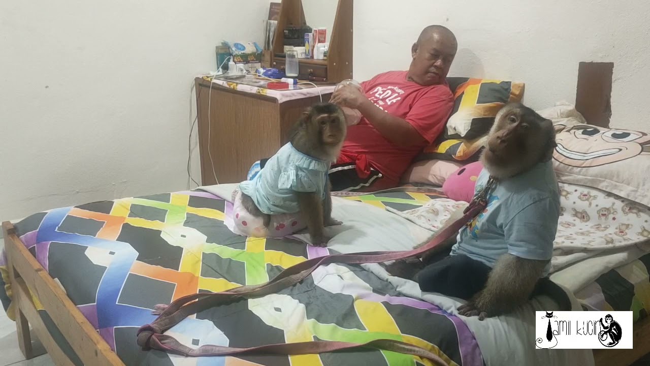 Just Play and Relax Inside Bedroom Heavy Raining