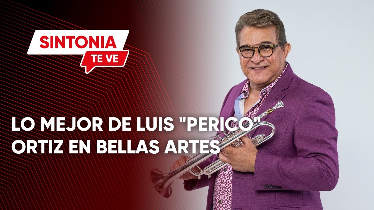 LO MEJOR DE LUIS 
