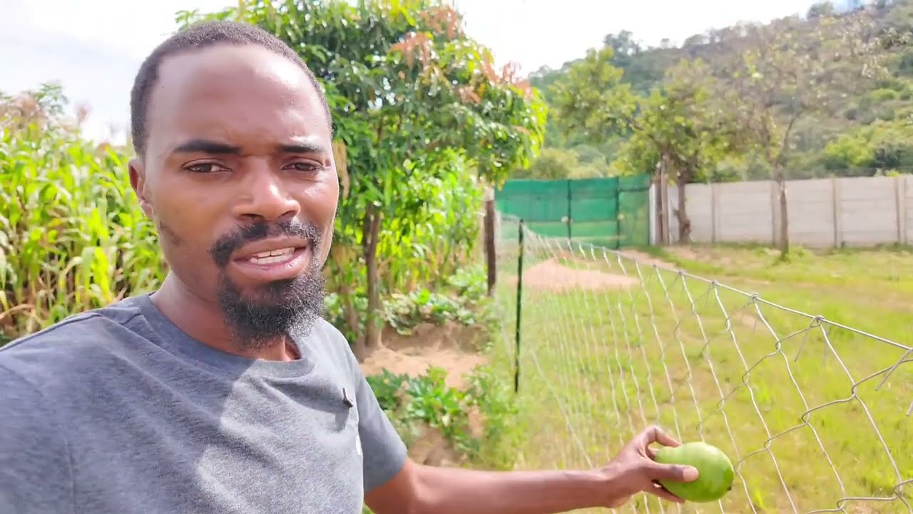 Offgrid Living In Zimbabwe||Home Improvements 