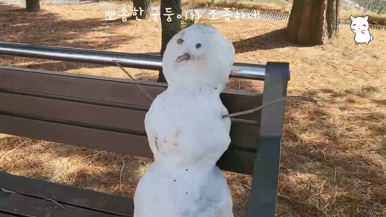 0126 뽀송한 궁둥이가 조종하네 #흰둥이 #강아지 #강아지일상 #애견영상 #반려견 #cutedog #동물농장강아지 #댕댕이 #산책하는강아지 #산책