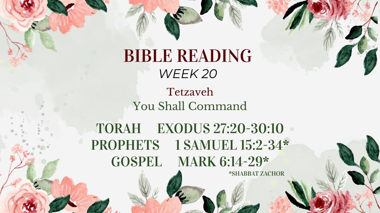Torah Portion week 20 | Tetzaveh | You Shall Command