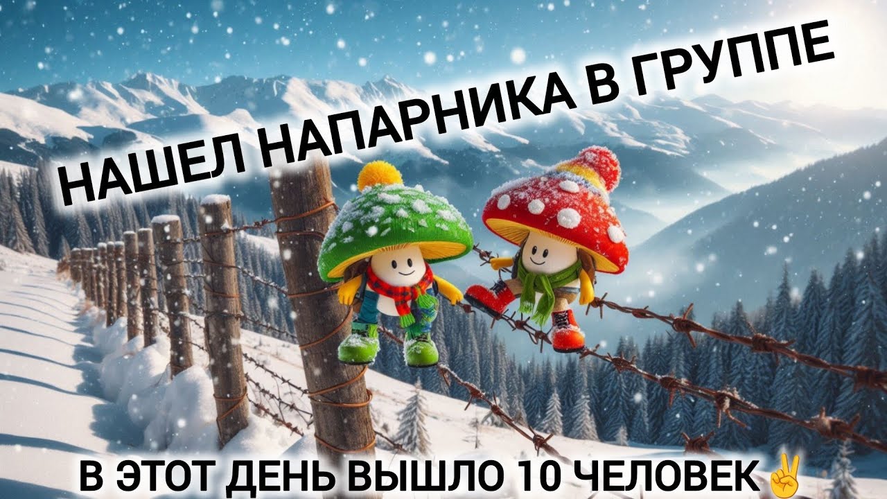 В этот день вышло 10 человек | Нашел напарника в группе | История выхода в Румынию через Карпаты🍄🏔