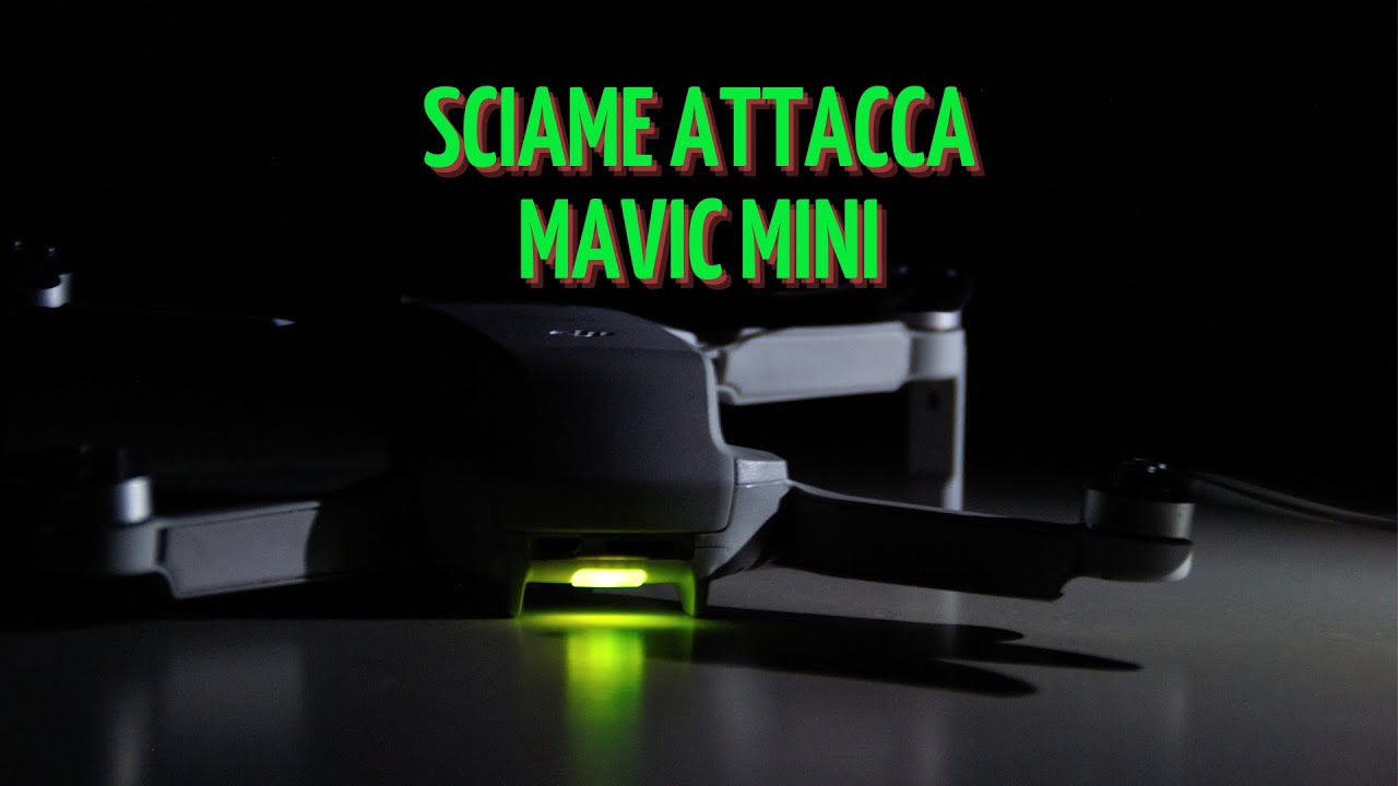 Sciame api attacca DJI MAVIC MINI