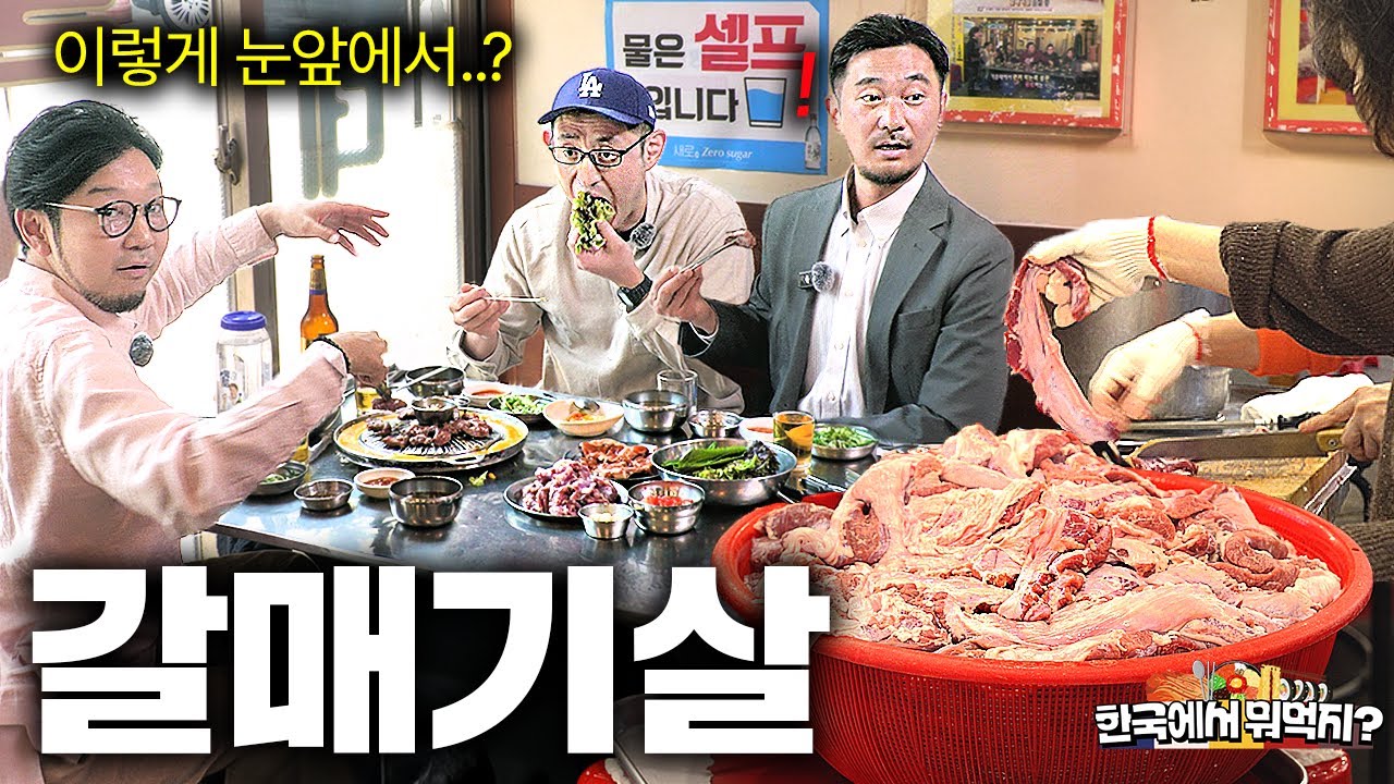 한국에서 처음 본 산더미 돼지갈비에 눈 뒤집어진 일본셰프들  | 한국에서 뭐먹지? | 마포 장수갈매기