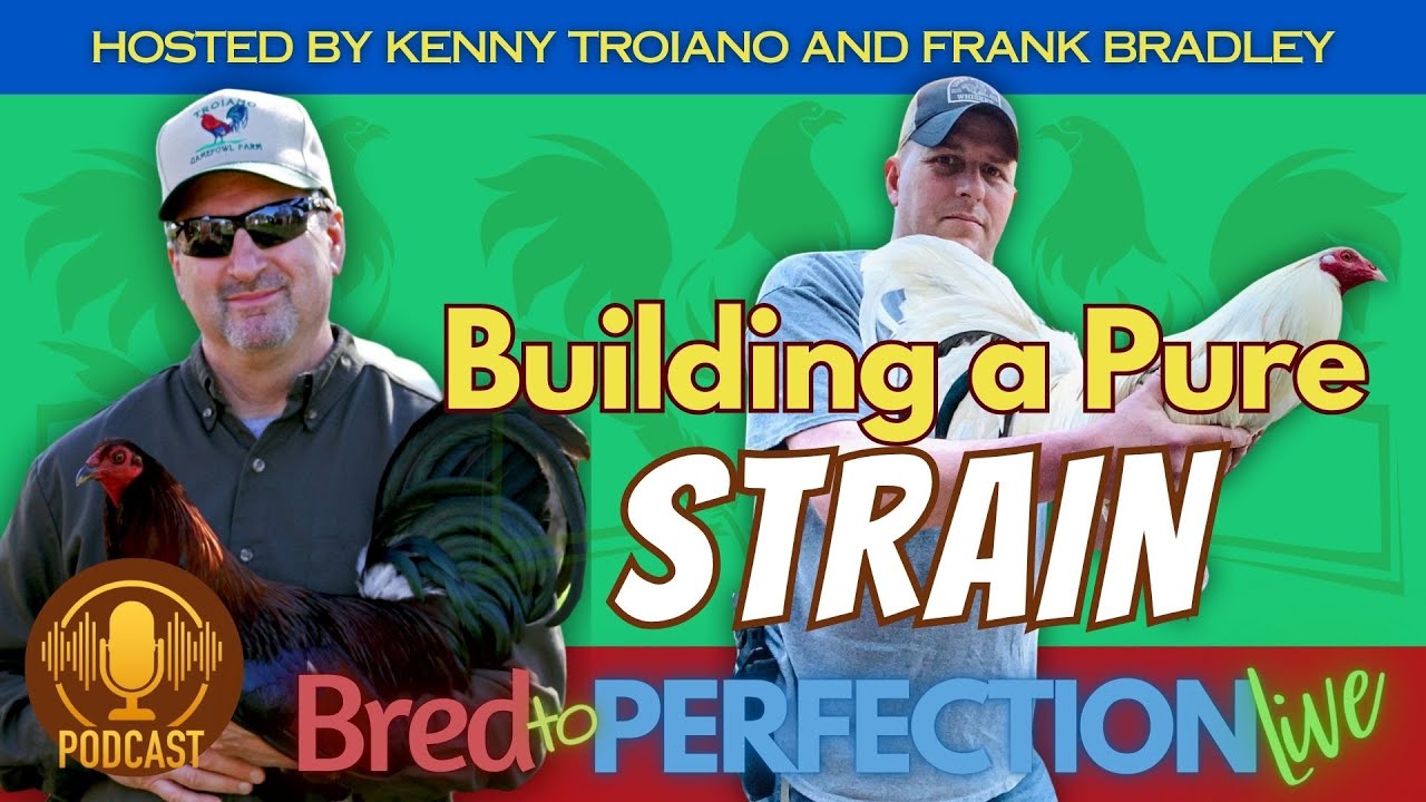 EP149 - The 12 Key Challenges in Breeding and Creating a Strain