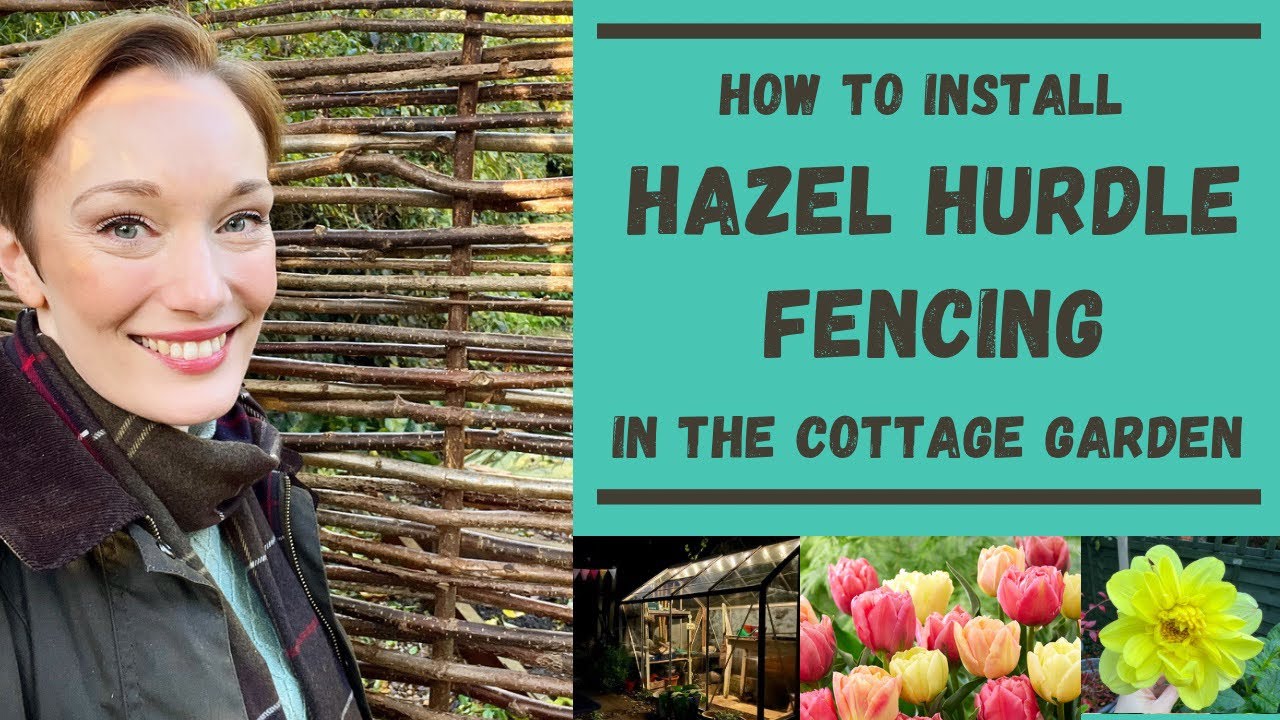 How to install a HAZEL HURDLE FENCE in the COTTAGE GARDEN or ALLOTMENT l Planting Star Jasmine
