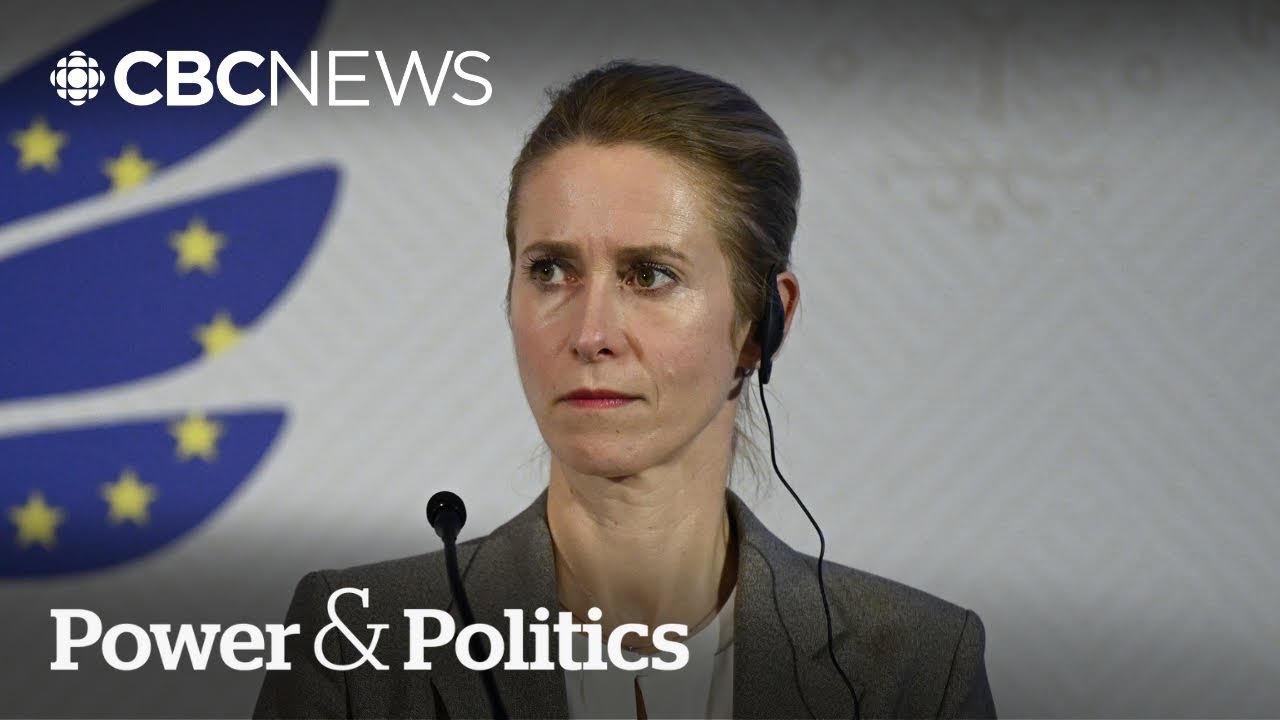 Canada, EU have to accept 'new normal,' says EU diplomat | Power & Politics
