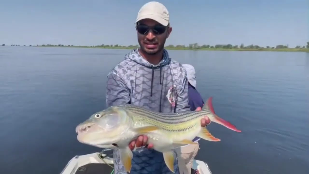 10 OF AFRICA'S MOST AGGRESIVE FISH CATCHES- THE TIGER FISH