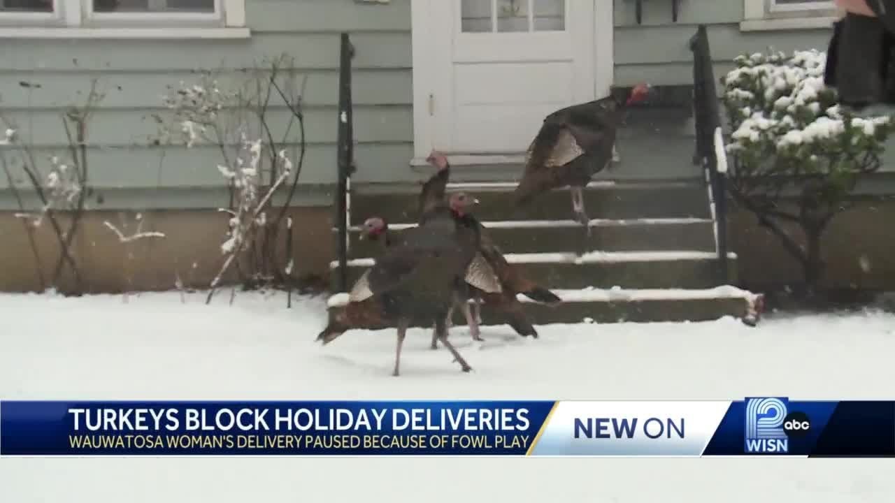 Wauwatosa woman's delivery paused because of fowl play
